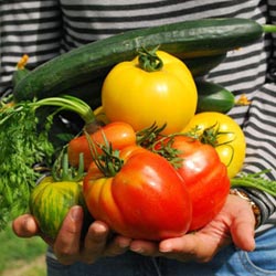 招投標(biāo)項(xiàng)目推薦